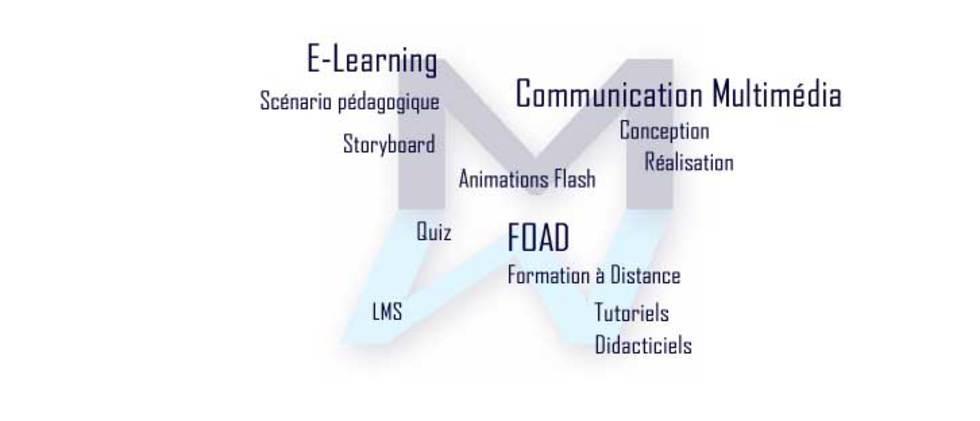 mots clés : e-learning, FOAD, multimédia